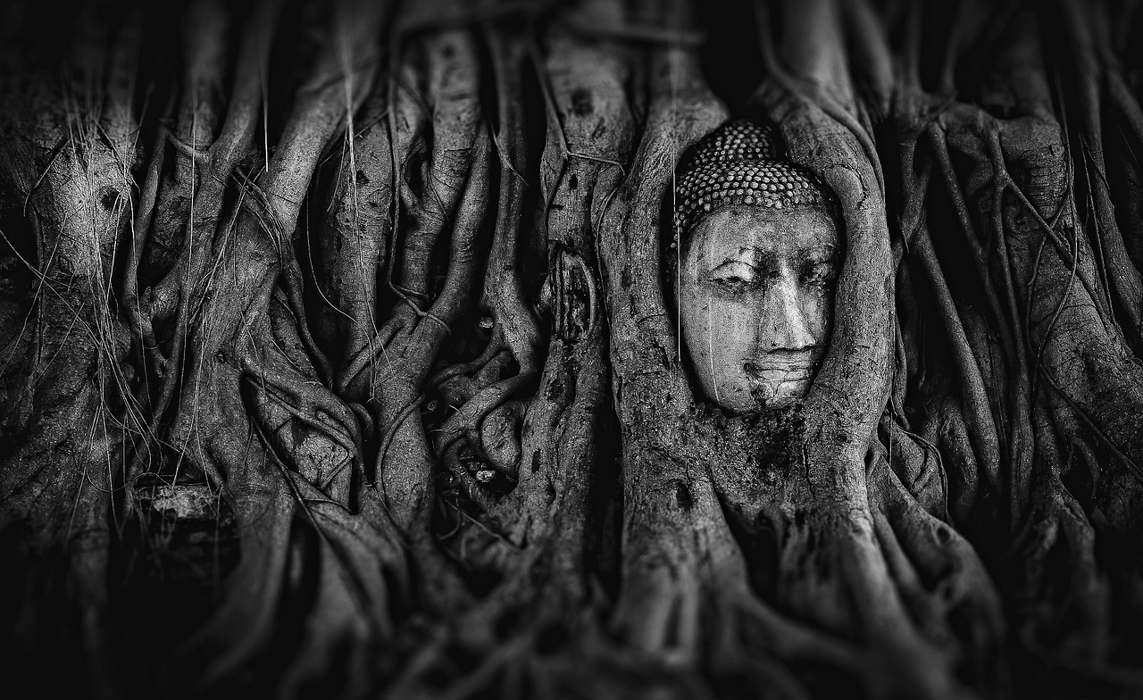 成仙路新篇，神秘世界的奇幻之旅探索